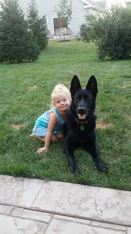 Bouncer and Grace