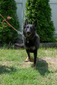 Zeena